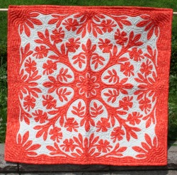 Hibiscus Orenge & White��(HW18)