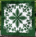Silversward Green& Off White����(HW19)